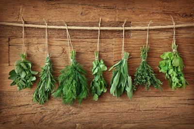 Avoid These Beginner Herb Garden Mistakes