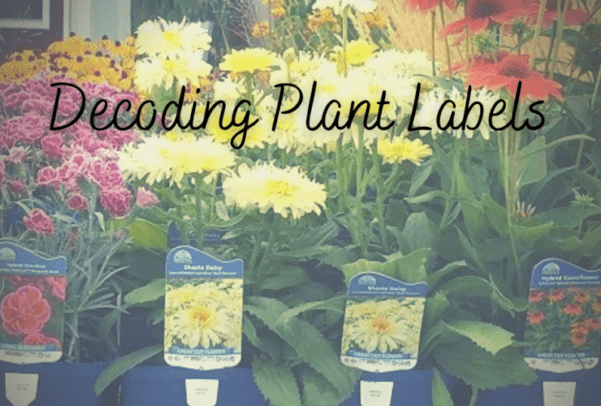 Decoding Plant Labels - Ritchie Feed & Seed Inc.