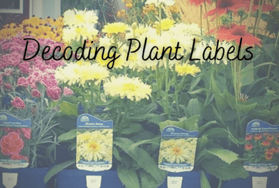 Decoding Plant Labels