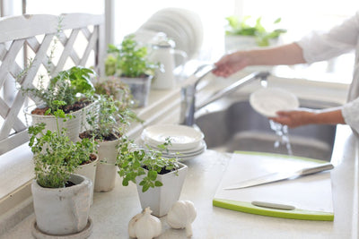 Grow an Indoor Herb Garden This Winter