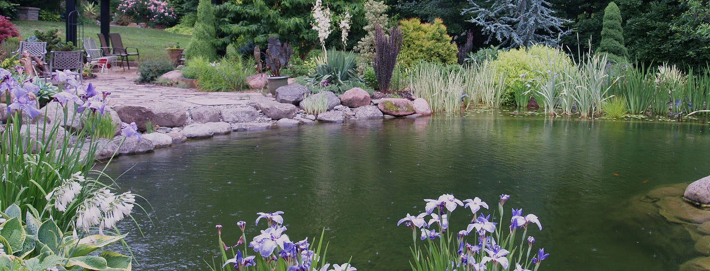 Opening your pond in spring - Ritchie Feed & Seed Inc.