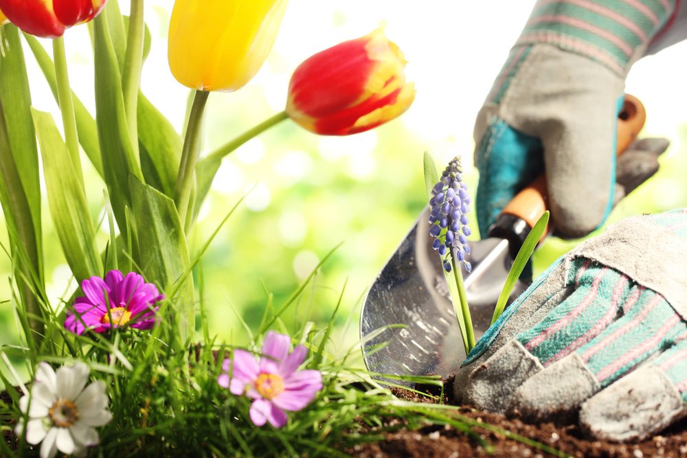 Why You Should Start Gardening This Spring - Ritchie Feed & Seed Inc.