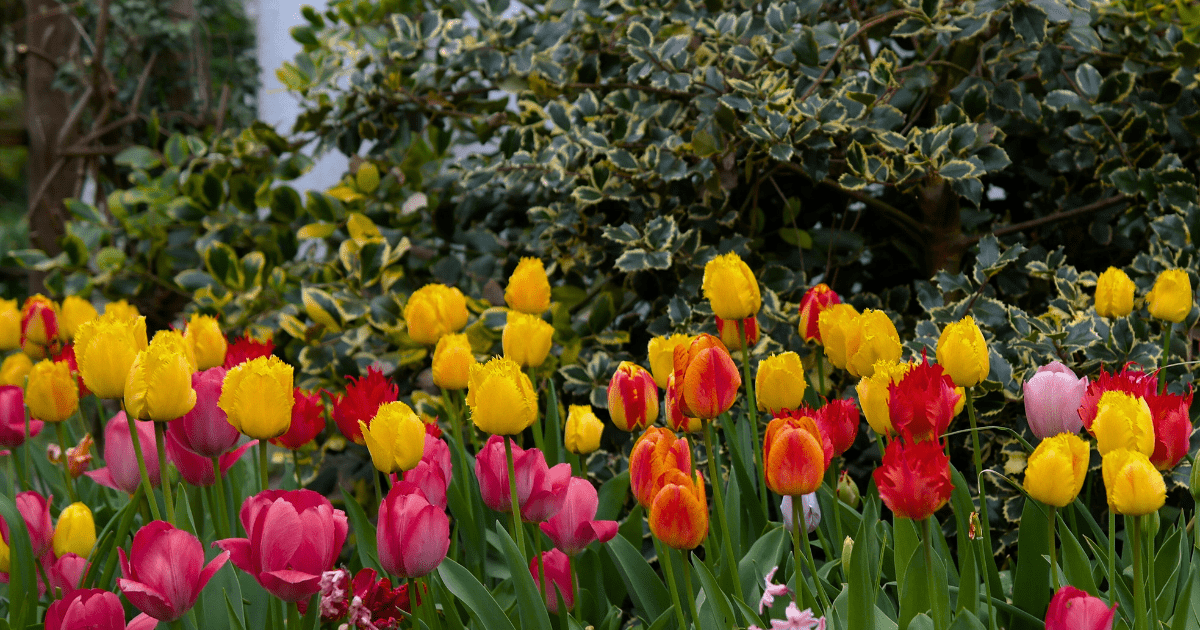 A Garden That Blooms All Year Long 🌸🌿🍂 - Ritchie Feed & Seed Inc.