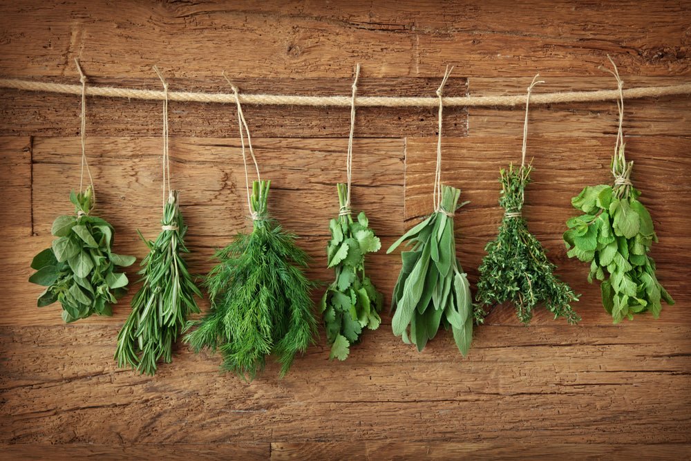 Avoid These Beginner Herb Garden Mistakes - Ritchie Feed & Seed Inc.