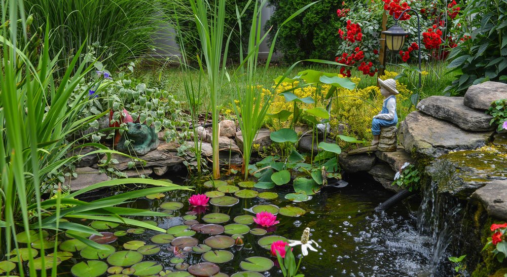 Build Yourself a Pond: Here’s How - Ritchie Feed & Seed Inc.