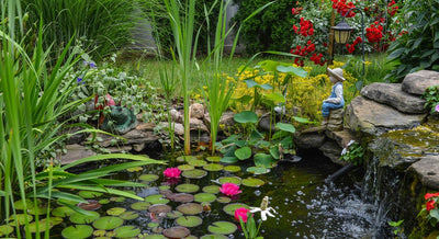 Build Yourself a Pond: Here’s How