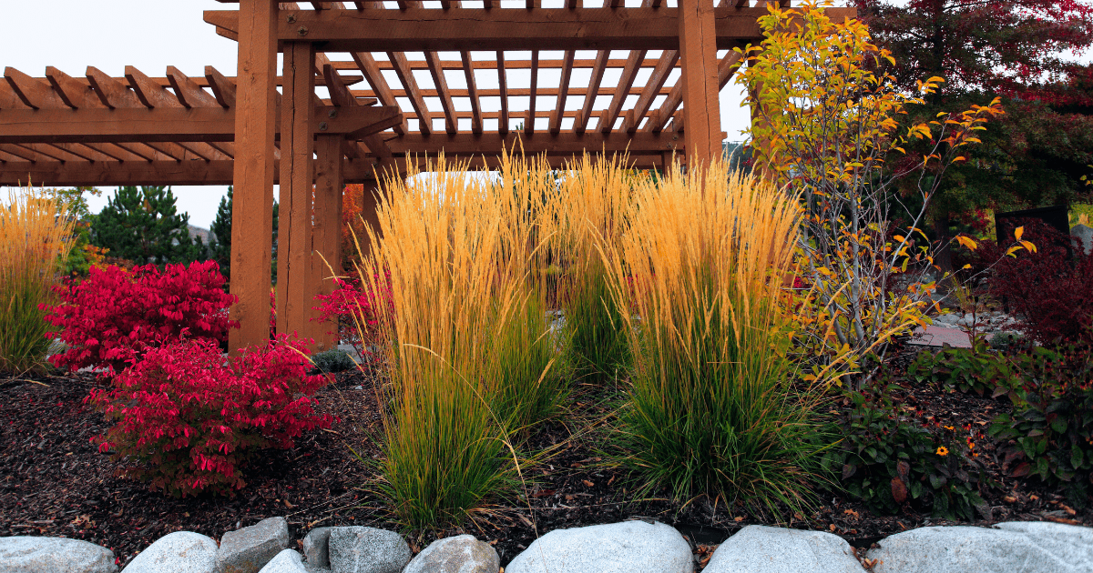 Cut Back or Leave Until Spring? 🌿 - Ritchie Feed & Seed Inc.