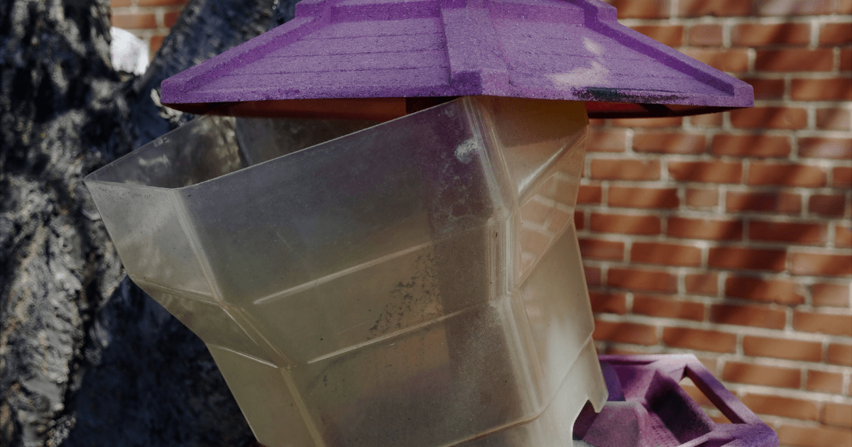 Did Your Bird Feeder Take a Beating This Summer? 🐿️ - Ritchie Feed & Seed Inc.