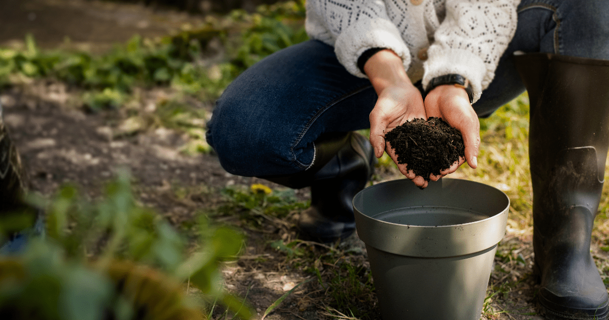 🍂 Fall & Winter Soil Prep: Which Compost Should You Use? - Ritchie Feed & Seed Inc.