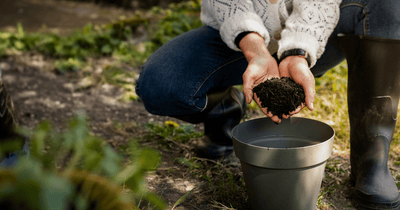 🍂 Fall & Winter Soil Prep: Which Compost Should You Use?