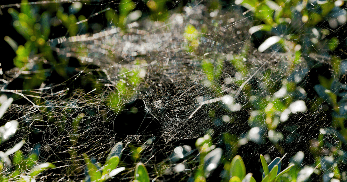 🌑 Haunted Greenhouse - Ritchie Feed & Seed Inc.
