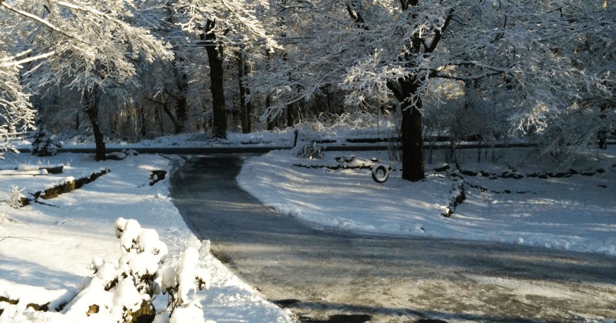 How to Choose the Right Ice Control for Your Driveway This Season 🧂 - Ritchie Feed & Seed Inc.