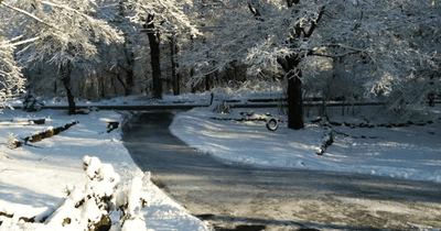 How to Choose the Right Ice Control for Your Driveway This Season 🧂