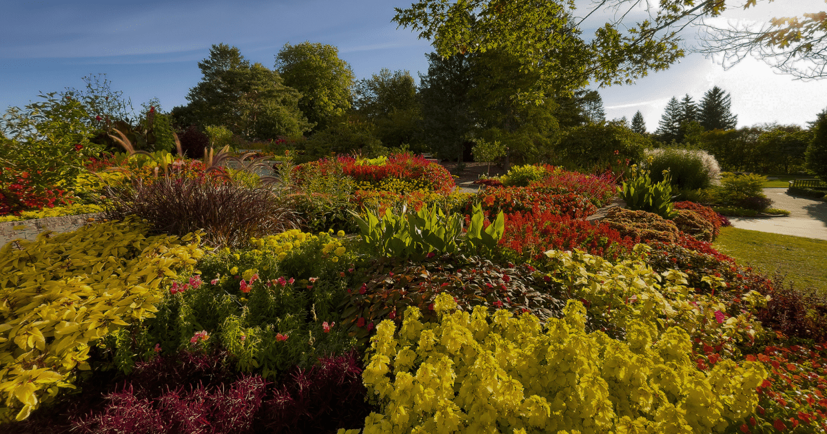 🍂 Late August Garden FAQs - Ritchie Feed & Seed Inc.