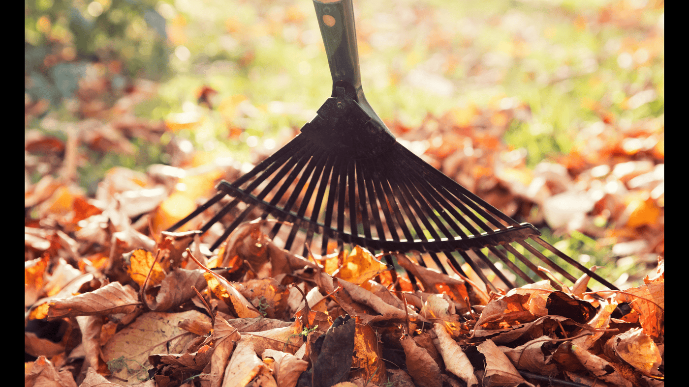 Leave the Leaves? - Ritchie Feed & Seed Inc.