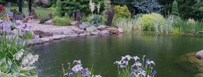 Opening your pond in spring