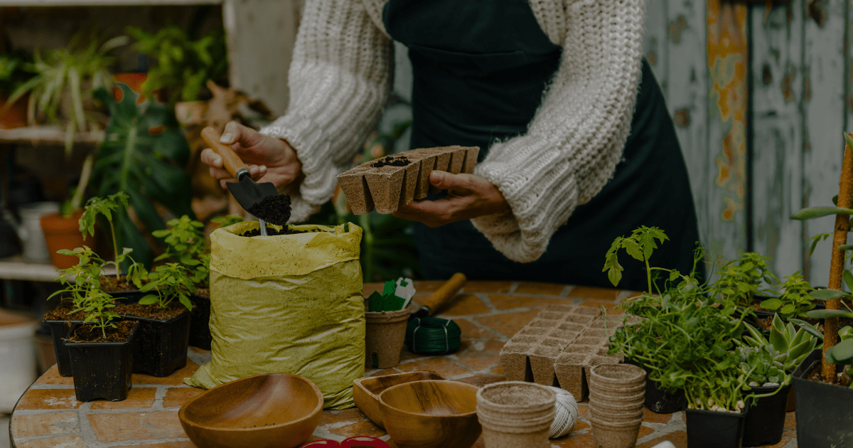 Propagation & Seed-Starting Tools You Actually Need (and What to Skip) -  Ritchie Feed & Seed Inc.