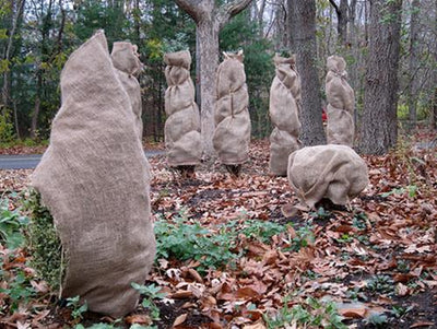 Protect Trees & Shrubs for Winter