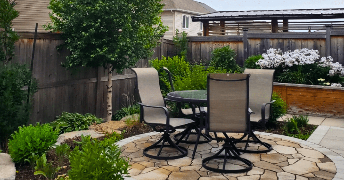 Space-Saving Trees for Small Urban Backyards 🌳🏡 - Ritchie Feed & Seed Inc.