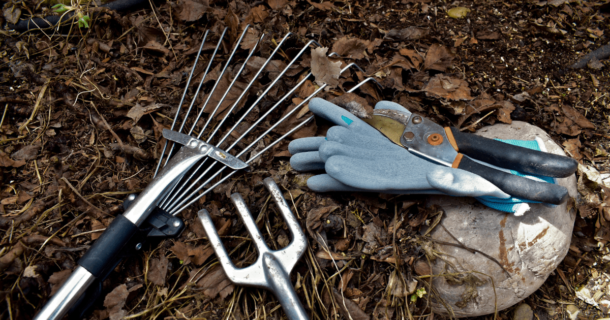 Spring Reset Tools: Gentle Cleanup After a “Messy Winter” - Ritchie ...