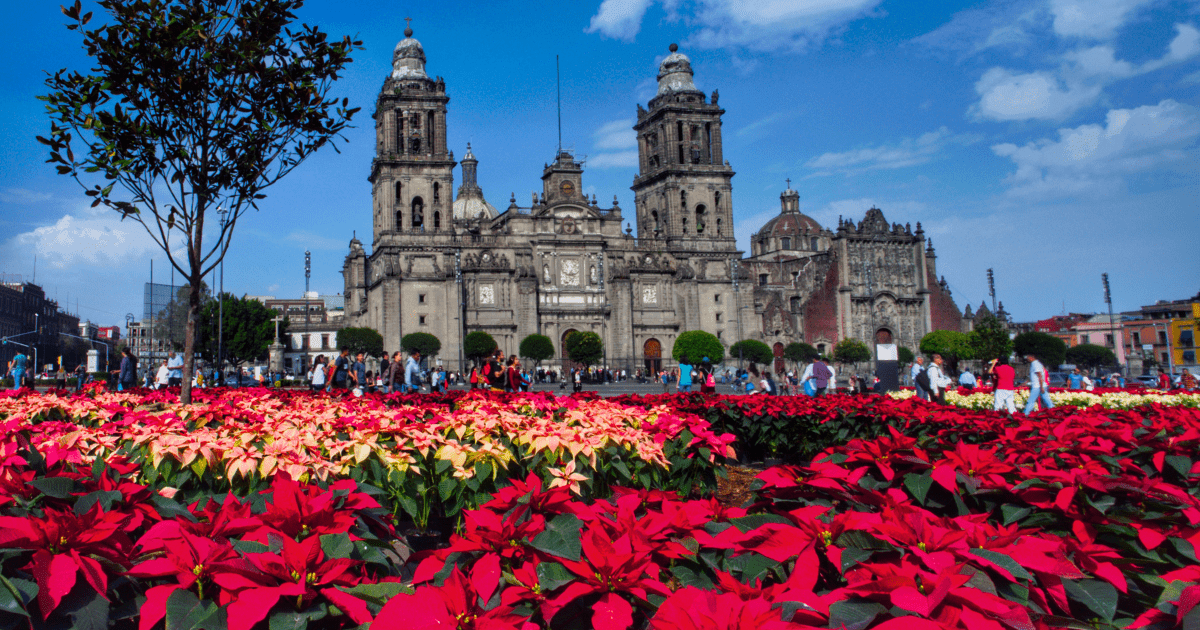 The Story Behind Poinsettias 🌺 - Ritchie Feed & Seed Inc.