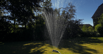 The Ultimate Guide to Garden Hoses, Nozzles, and Accessories 💦