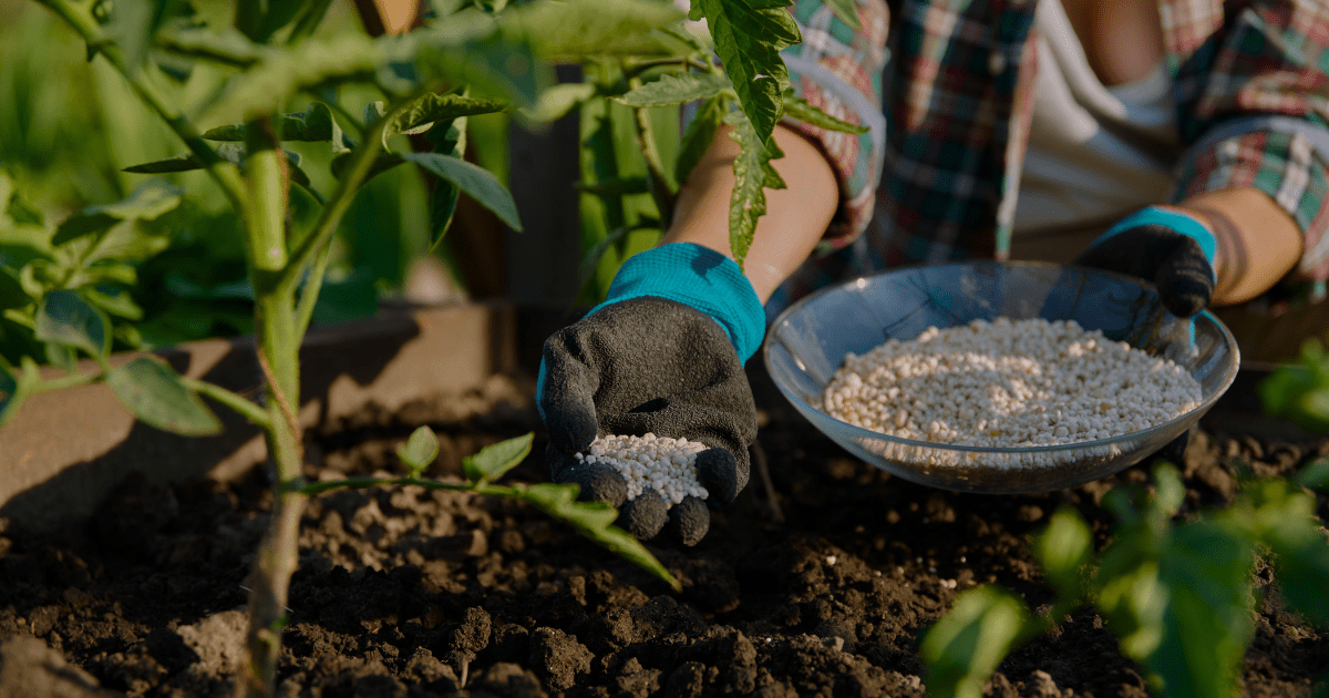 What Do Those Numbers Mean on Fertilizer? (NPK Made Simple) - Ritchie ...