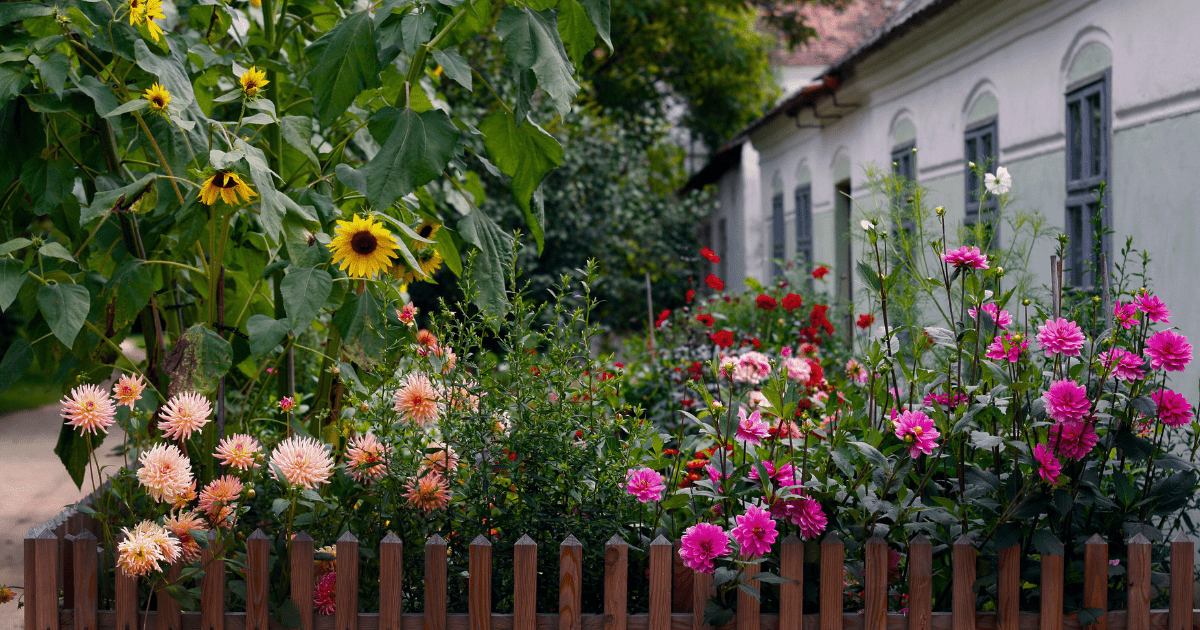 Why September is the Secret Season for Garden Design - Ritchie Feed & Seed Inc.