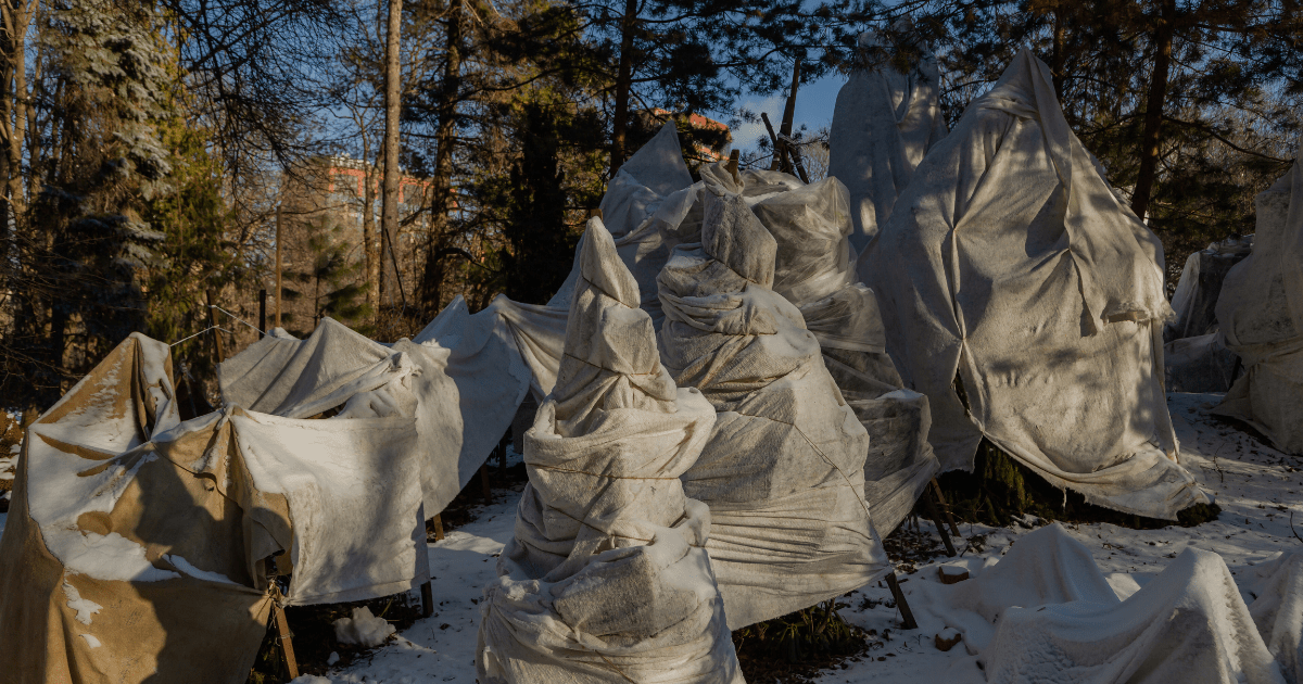 ❄️ Winter Protection for Your Plants - Ritchie Feed & Seed Inc.