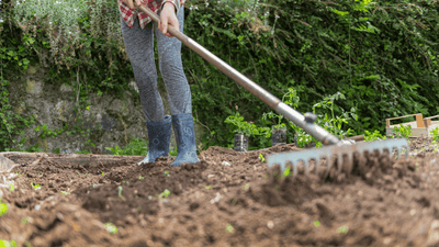 Winterizing your Vegetable Garden