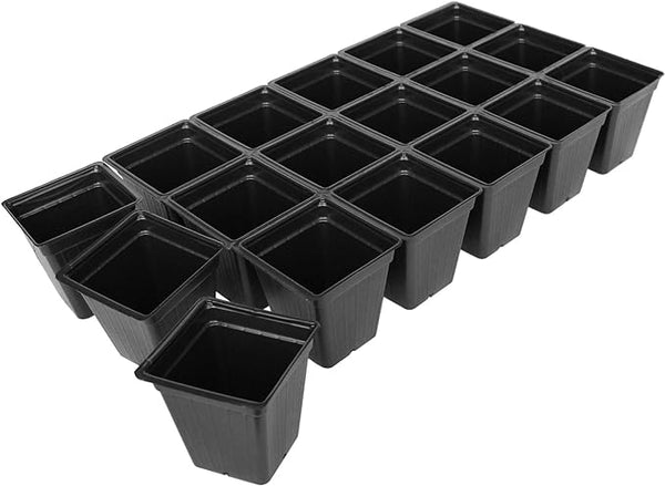 18 Count Square Plant Pot (3 1/2