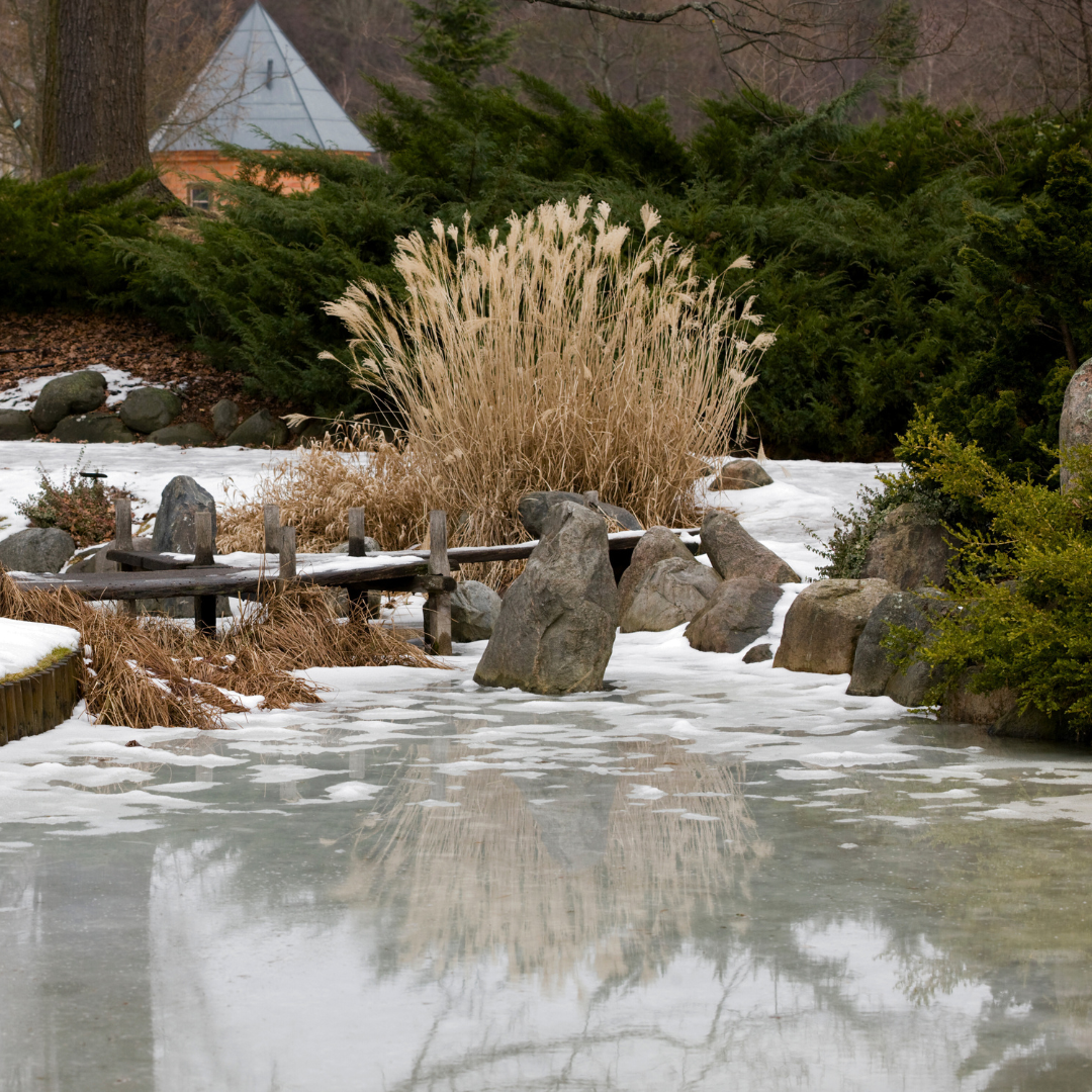 Winter Decor