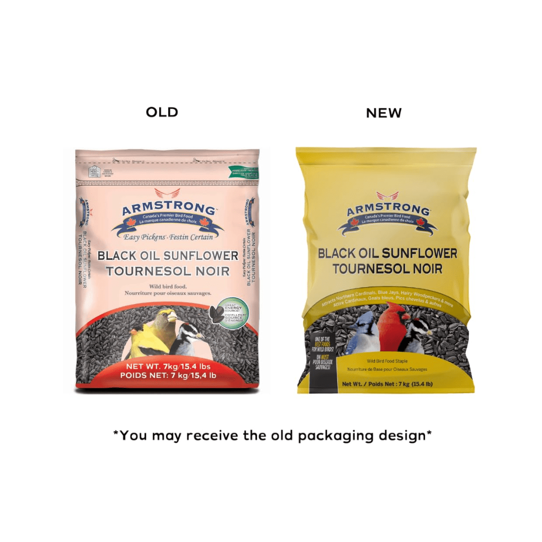 armstrong garden seeds Armstrong® Black Oil Sunflower 7 kg | 15.4lbs