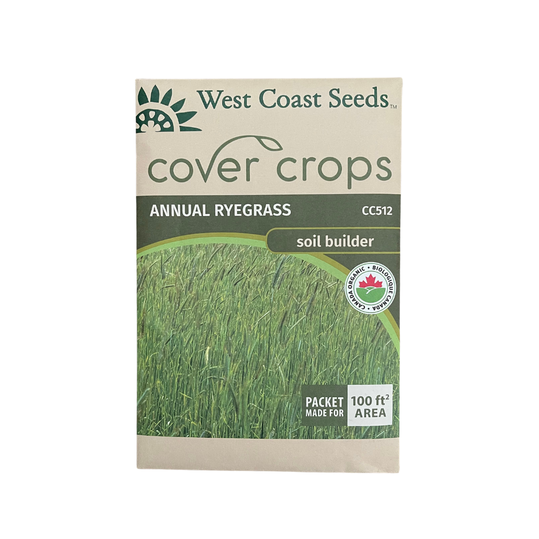 Annual Ryegrass Organic Cover Crop Seeds West Coast Seeds Ritchie