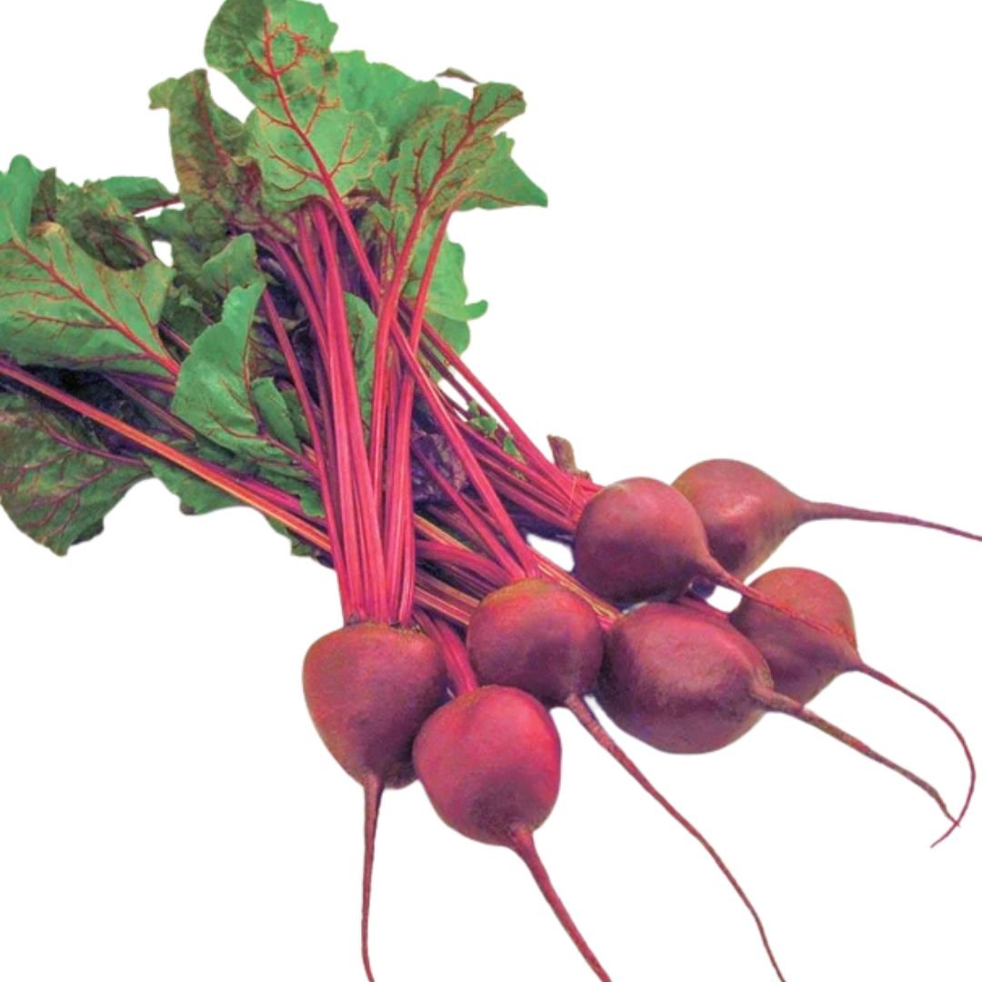 Beets Early Wonder Tall Top Seeds | West Coast Seeds - Ritchie Feed ...