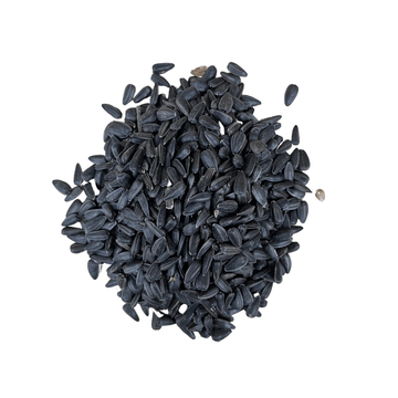 Black Oil Sunflower [4 sizes]