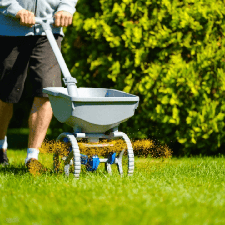 How to Apply Weed And Feed With Spreader: Expert Tips for Perfect Lawn