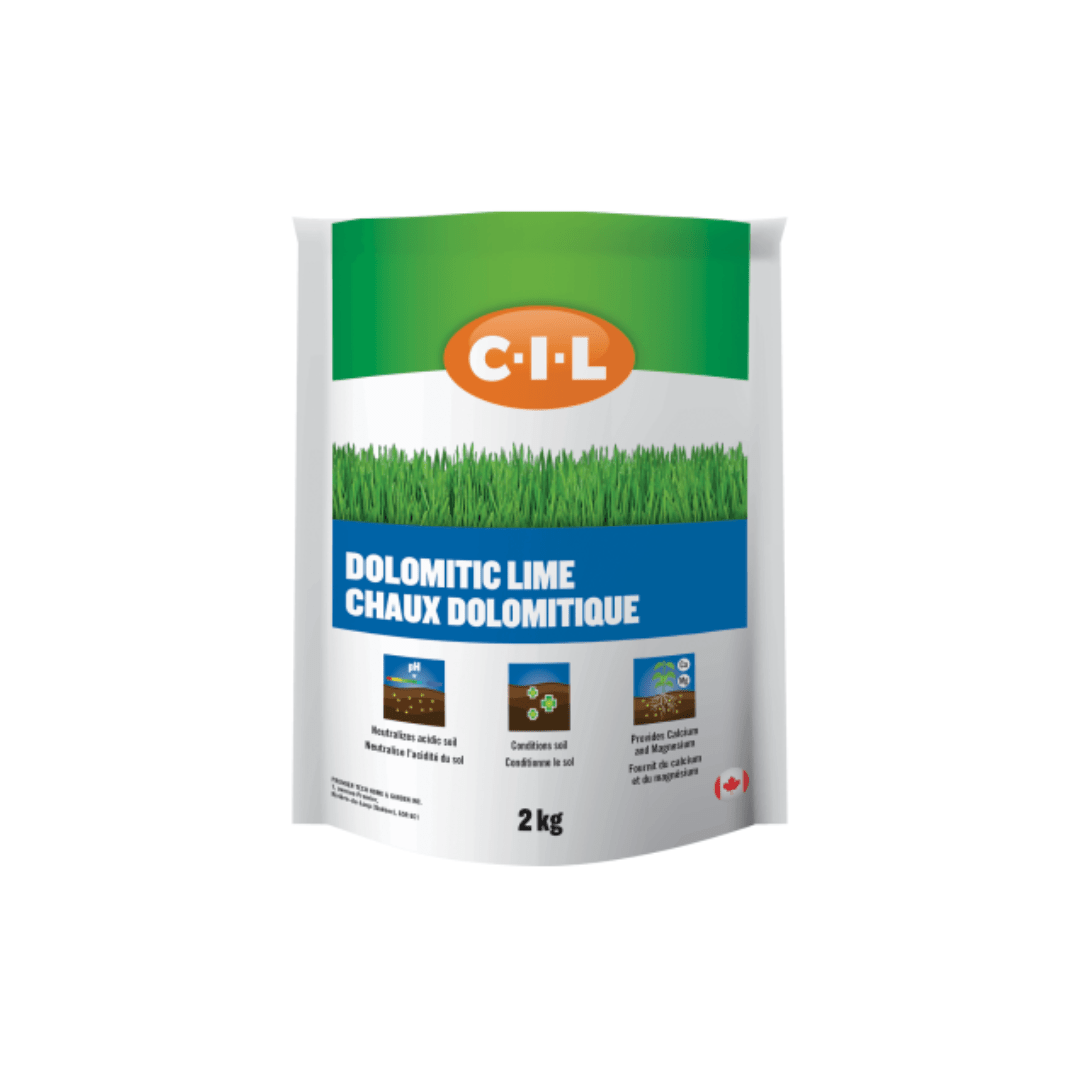 COLONISTA OMAN10 Gray × Lime Lime COLONISTA OMAN10 Gray × Lime Lime COLONISTA OMAN10 Gray