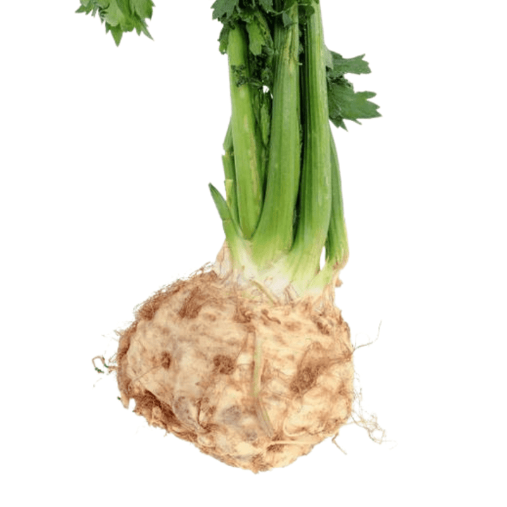 celeriac-celery-root-seeds-