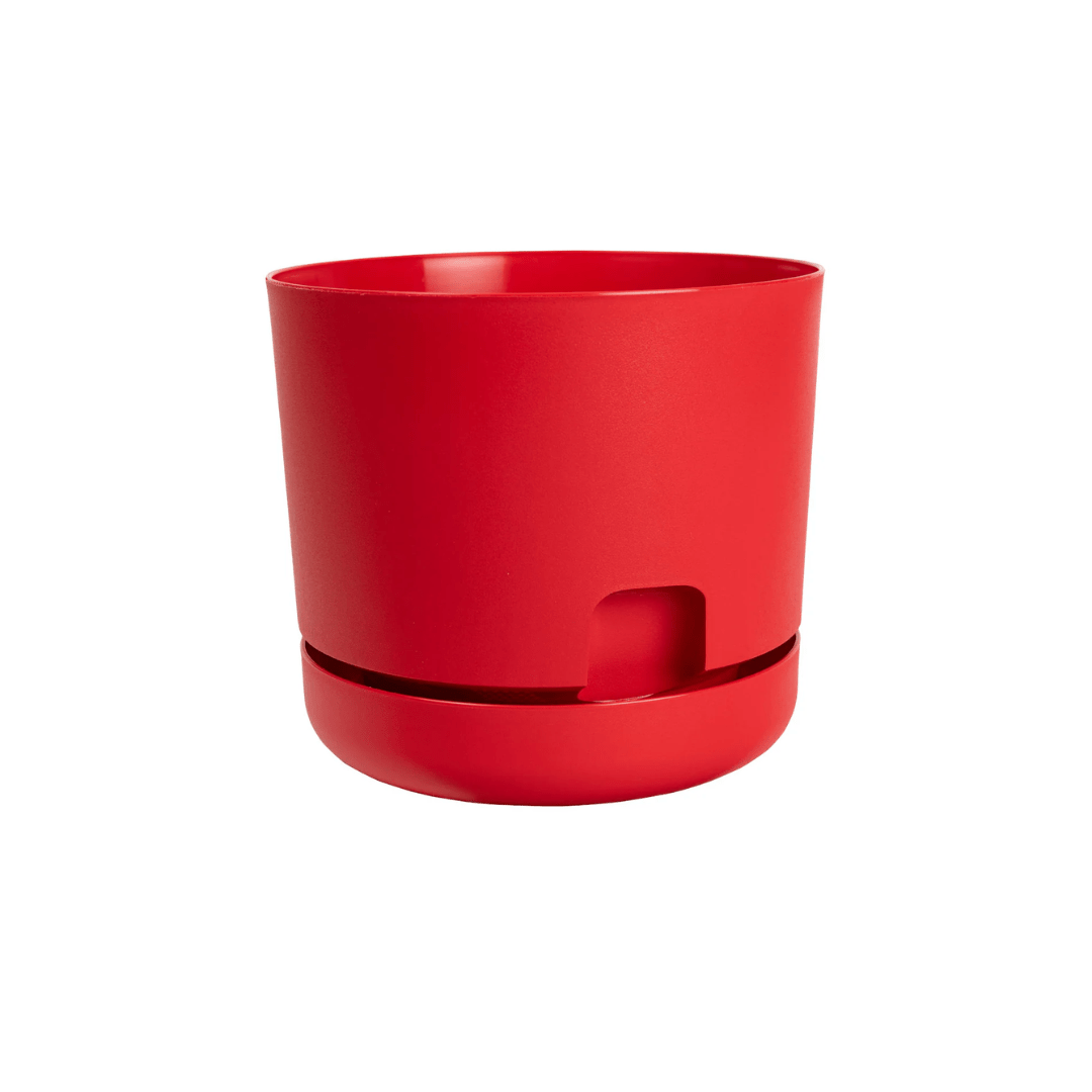 dcn self watering planter DCN Plastics Oasis Self-Watering Planters Red 12"