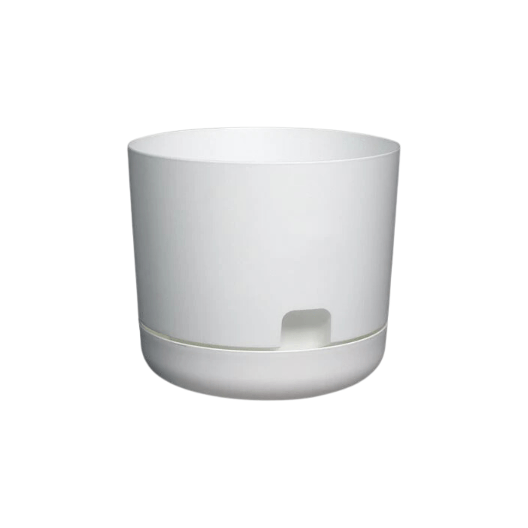 dcn plastic self watering pot planter DCN Plastics Oasis Self-Watering Planters White 12"