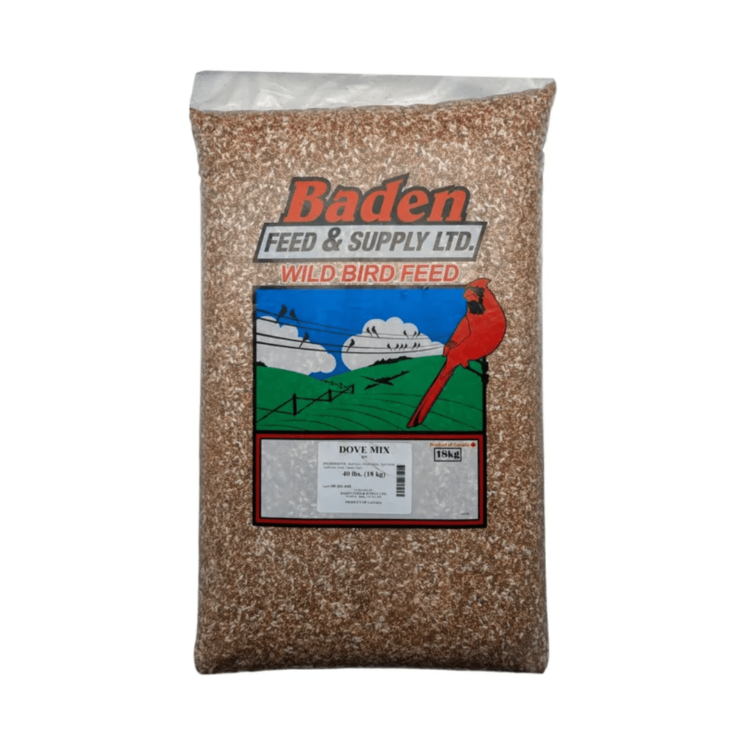 dove seed mix for planting Dove Mix 18kg