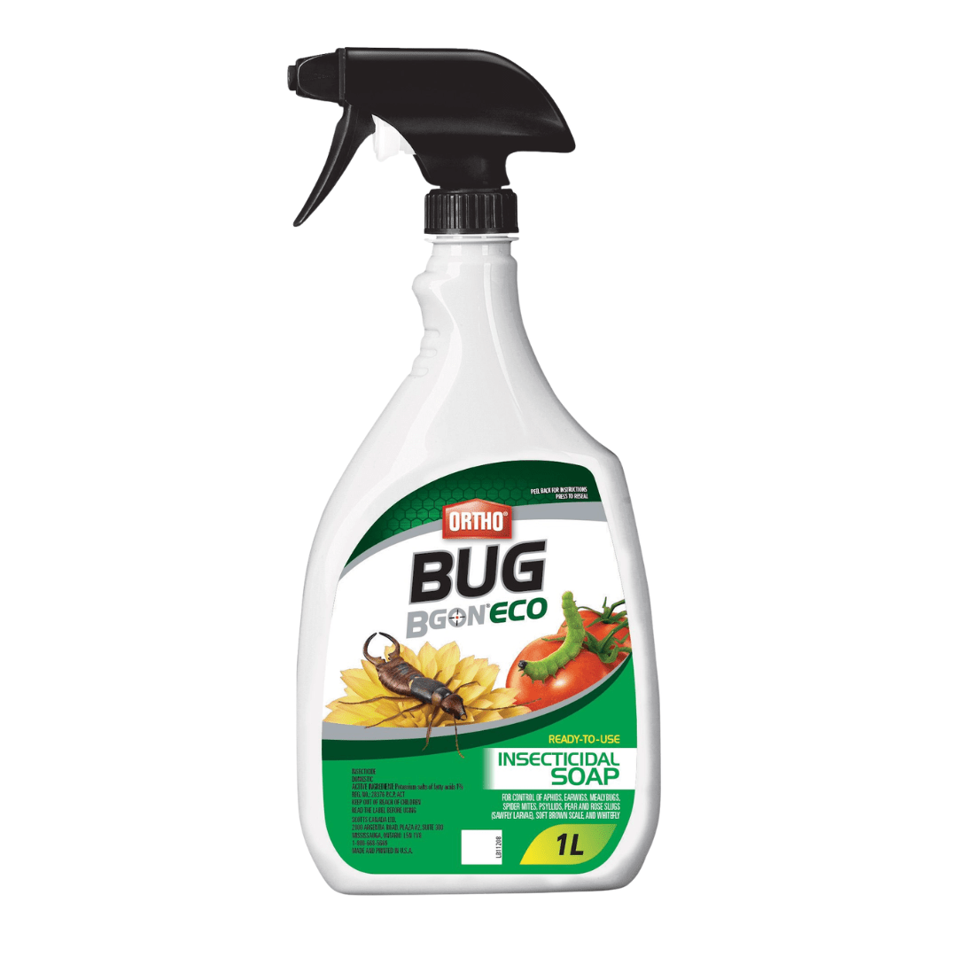 insecticidal soap for rose bushes Eco Insecticidal Soap 1L RTS