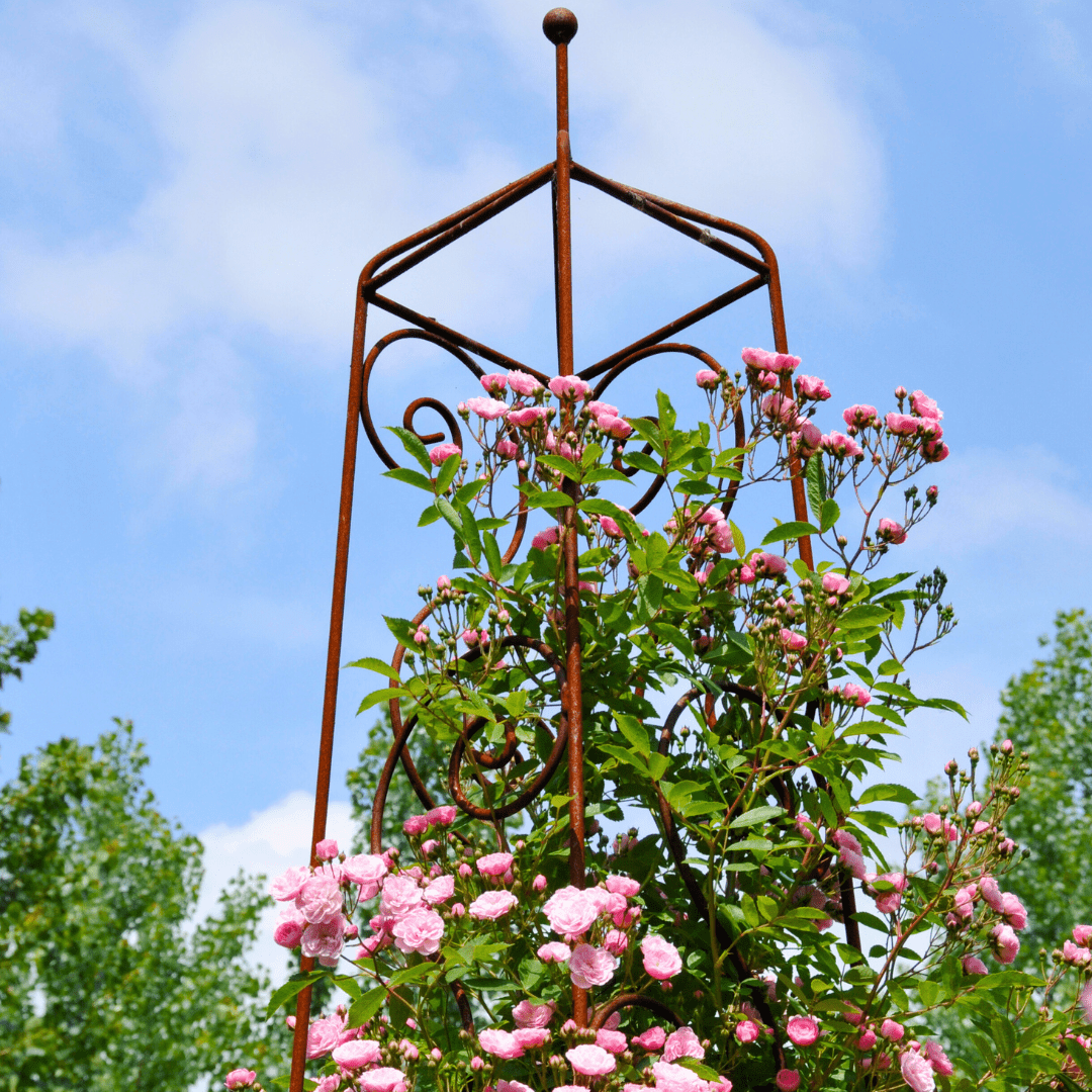 Garden Venetian Obelisk Wire Plant Stand - Ritchie Feed & Seed Inc.