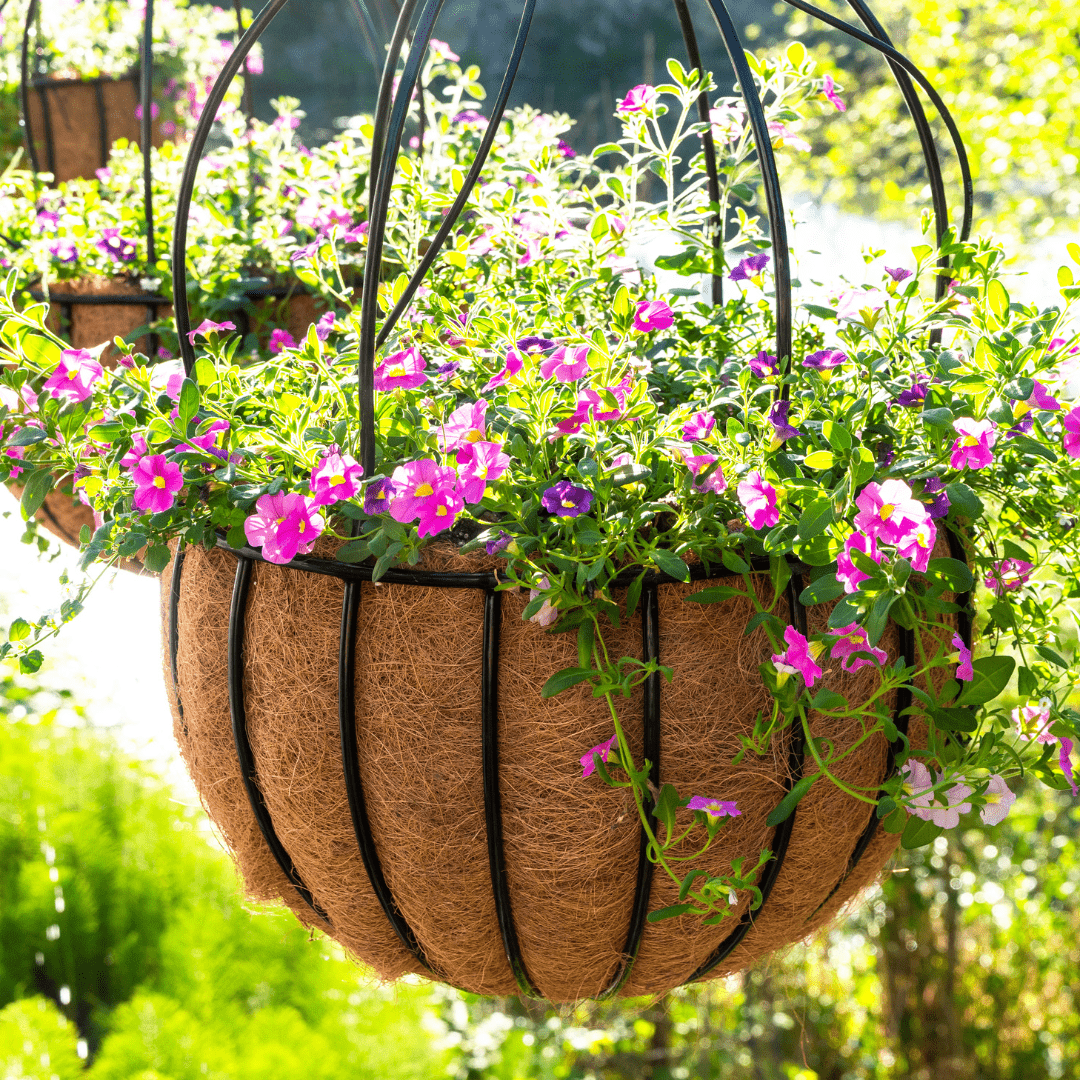 globe planter hanging Globe Hanging Basket with Coco Liner