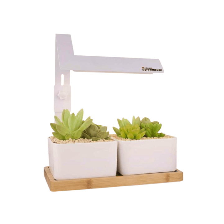 bamboo led grow light garden for succulents and seeds Holland Greenhouse LED Bamboo Tray Grow Light