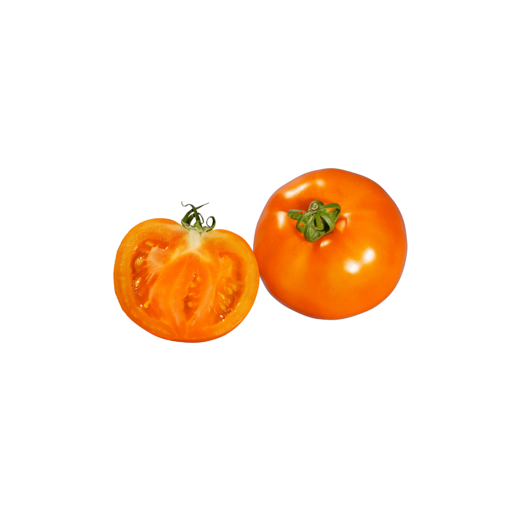 Tomato Jaune Flammée / Tomate Jaune Flammée | Tourne-Sol Organic Seeds
