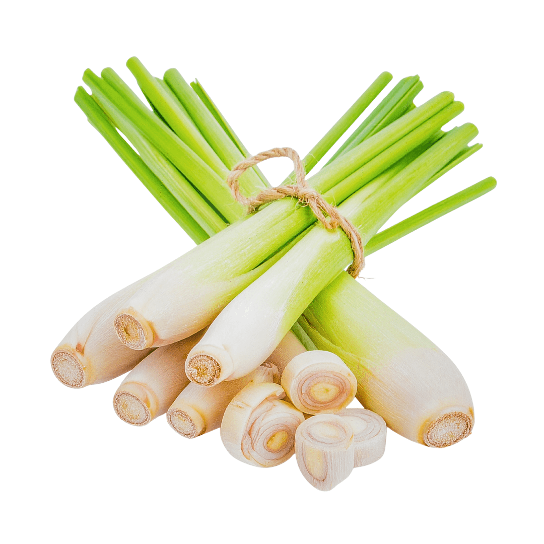 Lemongrass | West Coast Seeds