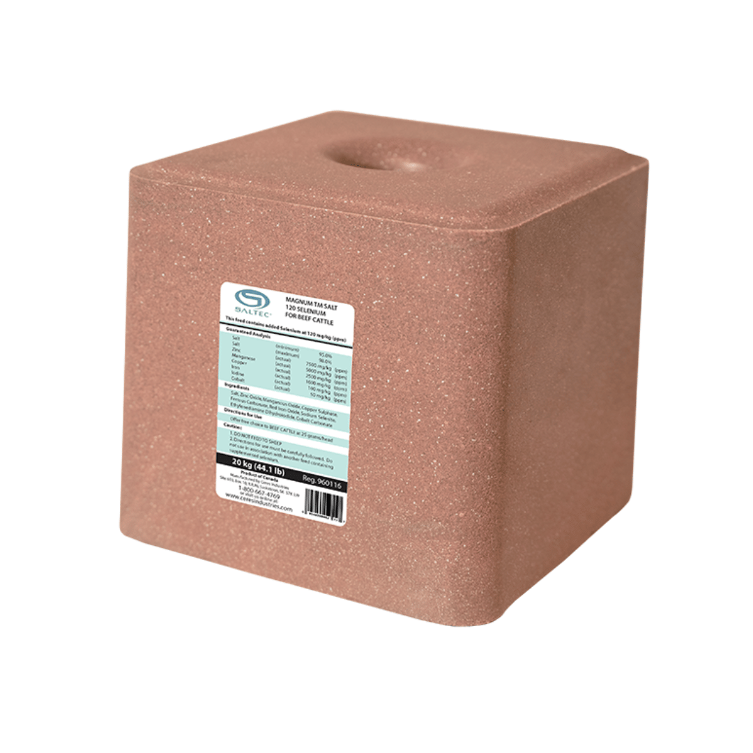 Magnum TM Salt Lick Block 120 Selenium for Beef Cattle Ritchie Feed