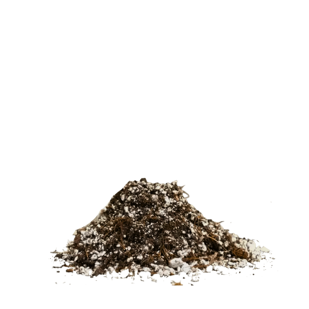 cactus blend soil Maya Growing Mediums Cactus Soil Blend Mix 8.5L